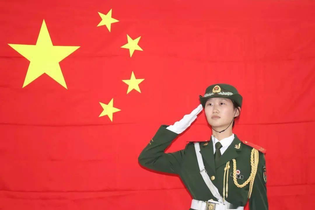 植物大战僵尸11